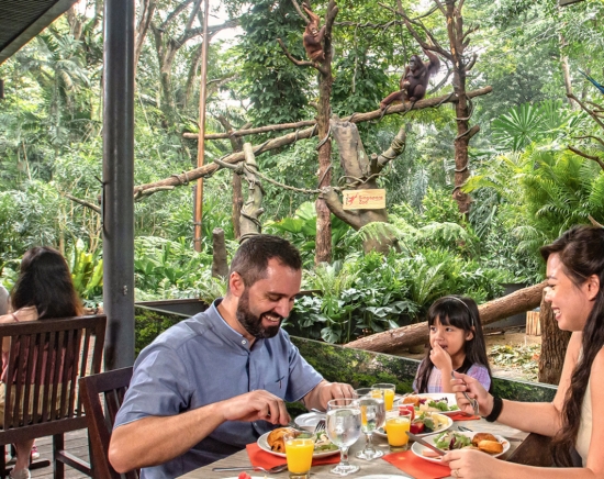 2026年を迎える特別な瞬間！大晦日 カウントダウン  リバーボート + ナイトサファリ